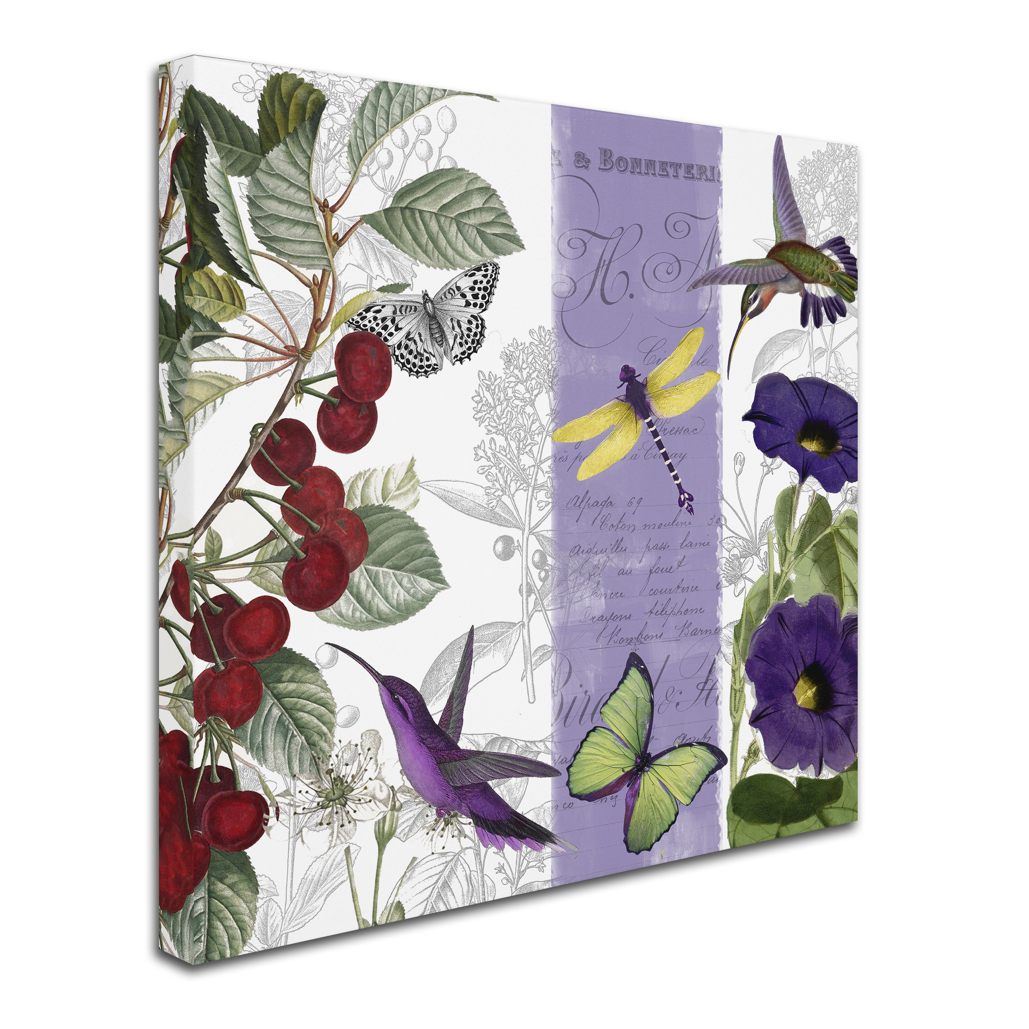 Trademark Fine Art "Cherry Picked I" Canvas Art by Color Bakery