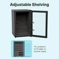 thumbnail image 5 of SnowLion Premium 2.4 Cu.ft. 1-Glass Door Beverage Refrigerator, Black, 5 of 5
