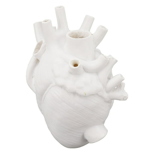 Florero de Corazón Anatómico para Flores Maceta de Resina Floreros de Escritorio en Forma de Corazón para el Hogar Oficina Dormitorio Boda Anggrek Otros