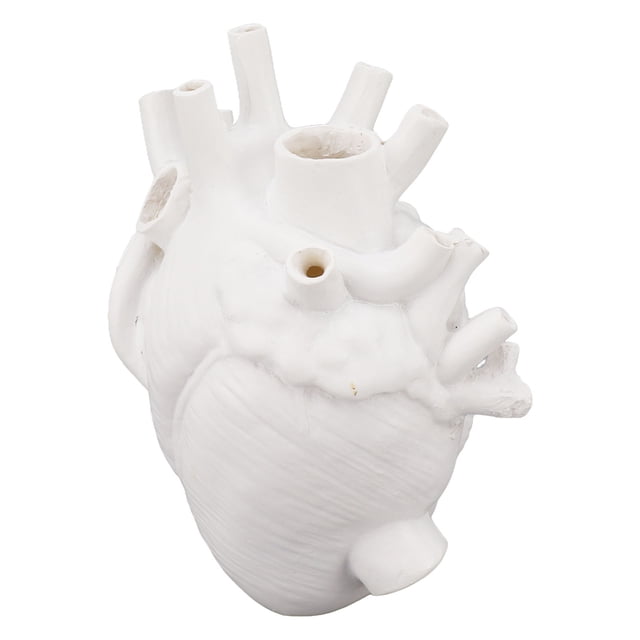 Florero de Corazón Anatómico para Flores Maceta de Resina Floreros de Escritorio en Forma de Corazón para el Hogar Oficina Dormitorio Boda Anggrek Otros