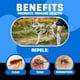 thumbnail image 2 of Tabletas masticables para el tratamiento de pulgas y garrapatas para perros - Avid Paw, 2 of 9