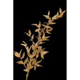 thumbnail image 3 of Loreth, Lanie 13x18 Black Modern Framed Museum Art Print Titled - Golden Leaves on Black III, 3 of 5