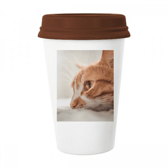 Animal Pure Cat Photograph Picture Mug Coffee Drinking Glass Pottery Cerac Cup Lid