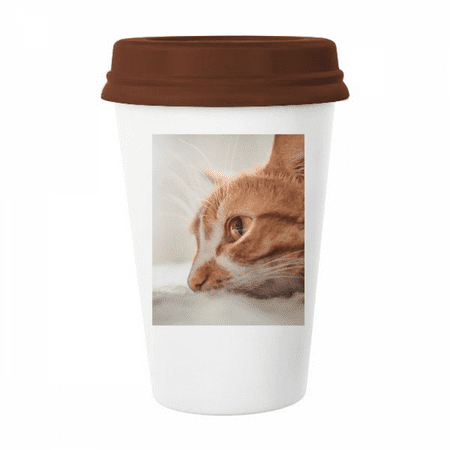 

Animal Pure Cat Photograph Picture Mug Coffee Drinking Glass Pottery Cerac Cup Lid