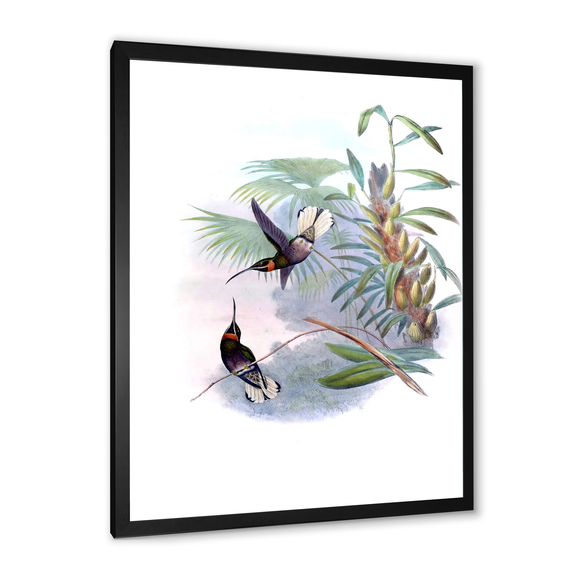 Designart 'Ancient Hummingbird On A Branch' Traditional Framed Art Print