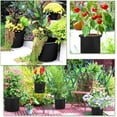 thumbnail image 2 of Paquete de 3 bolsas de cultivo de tela de 10 galones, bolsas de cultivo de plantas de jardín no tejidas gruesas con asas de nailon para jardinería y plantación, 2 of 5
