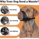 thumbnail image 4 of soft muzzle for boxers rottweilers american bully, 4 of 4