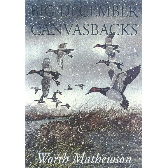 Big December Canvasbacks, Revised, (Paperback)