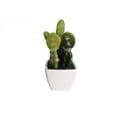 thumbnail image 7 of K-Cliffs Artificial Mini Succulent 3" to 5"  Cactus in White Ceramic Cube  Pot 4pcs Set,Ball Cactus - 2.25 W X 3.25 H X 2.25 D;  Fairy Castle Cactus - 2.25 W X 5 H X 2.25 D; Prickly Pear Cactus - 2.2, 7 of 7