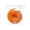 Orange#02, variant on Realistic Food Slow Rebound Squishy Fidget Toys for Adults, TPR Soft Rubber Tactile Gadget, Keychain Bag Charm Desktop Decor Assorted Styles 1 Pack