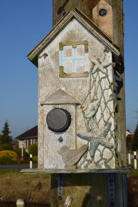 aviary bird seed feeders