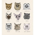 thumbnail image 3 of Ambesonne Indie Duvet Cover Set, Pet Cat Portraits, Queen, Tan Beige Taupe, 3 of 3
