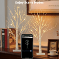 thumbnail image 2 of 2FT 2PACK Small Christmas Tree with Lights, Smart Lighted Birch Tree with APP Home Decor, Warm White, Timing, Dimmer, Group Control, Music Sync, Christmas Room Decorations Indoor, 2 of 8