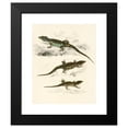 thumbnail image 2 of Sir Andrew Smith 15x18 Black Modern Framed Museum Art Print Titled - Cordylus Microlepidotus (Male, Female, Young) (1838-1849), 2 of 5