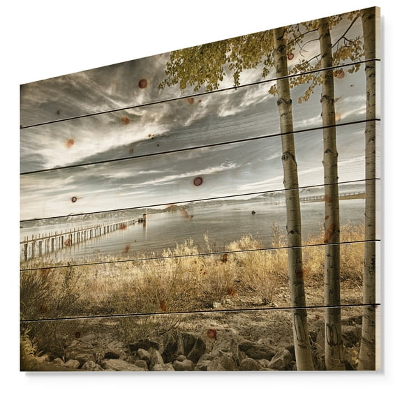 Designart 'Pier in Brown Lake' Landscape Photo Print on Natural Pine Wood