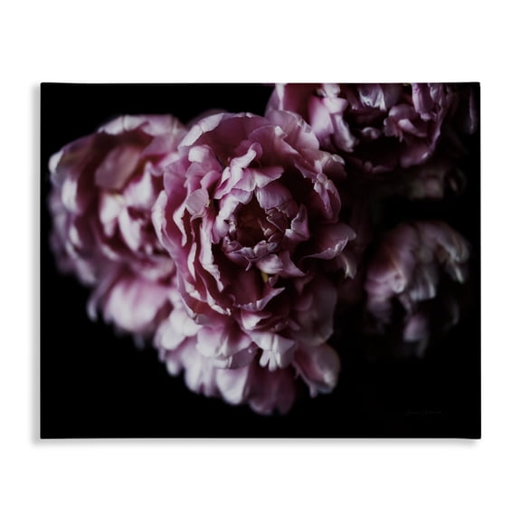 Stupell Industries Transitional Withered Pink Bouquet Photograph Canvas Art, 20 x 16, by Floragraphica