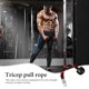thumbnail image 3 of NUOLUX Herramienta Fitness Tricep Doble Agarre Para Gym Ideal Para Press Down Y Curls, 3 of 8