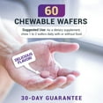 thumbnail image 4 of Dr. Berg Chewable Vitamin C Complex - Real Vitamin C Chewable Tablets from Berries, 60 Wafers, 4 of 10