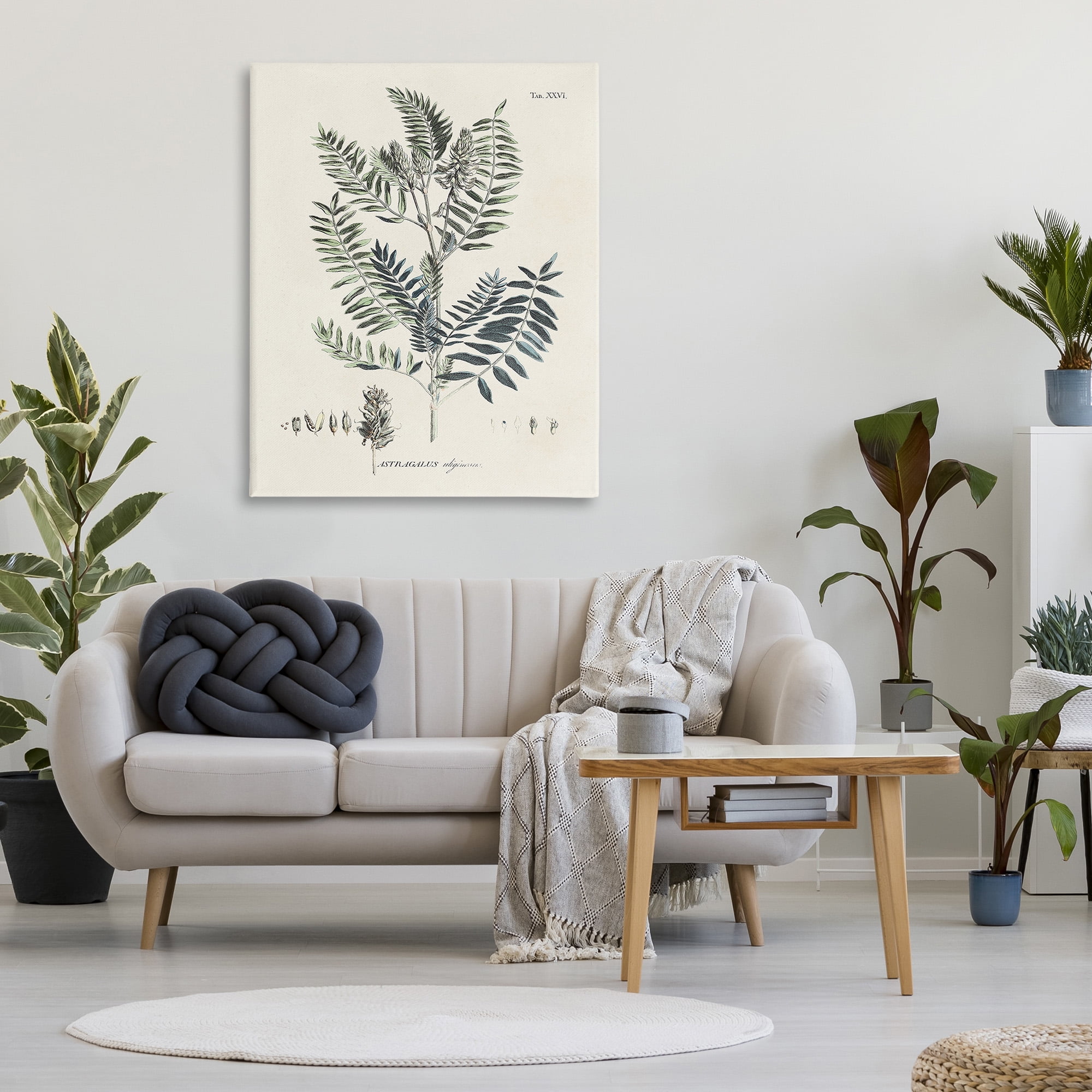 Stupell Industries Vintage Leaf Diagram Botanical & Floral Painting Gallery Wrapped Canvas Art Print Wall Art, 36 x 48