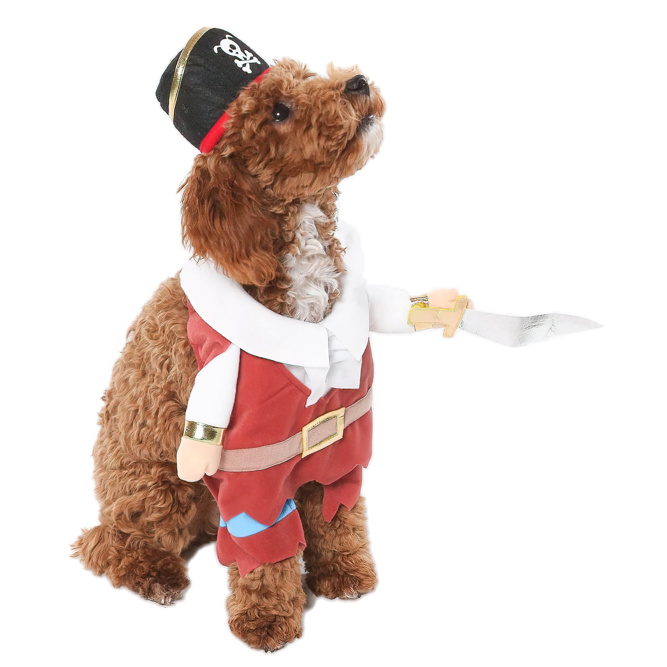 Vibrant Life Vl Hw Costume Pirate Small