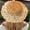 Khaki, variant on CHENge Elegant Lace Sun Hat For Women Comfortable Breathable Wide Brim Summer Fashion Accessory Suitable For All Year Round