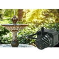 thumbnail image 3 of Bomba de agua Little Giant PE-1F-PW, 115 V, 170 GPH, cable de 4,6 m, 3 of 5