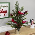 thumbnail image 3 of Northlight Pre-Lit LED Mixed Pine Potted Christmas Tree with Berries and Cardinals - 2' - Warm White, 3 of 7