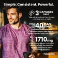 PrimeMD 6-in-1 Organic Maca Root Capsules with Ashwagandha, DHEA and ...