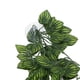 thumbnail image 4 of Planta colgante de vid falsa, planta de simulación de reptiles, vid verde decorativa, decoración de reptiles, verdadera excelencia, 4 of 8