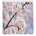 thumbnail image 3 of Ambesonne Spring Shower Curtain, Floral Cherry Branches, 69"Wx75"L, Pale Pink, 3 of 3