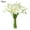 Blanc, variant on Calla Lily Artificial Flowers,Calla Lily Bridal Wedding Bouquet for Greenery Plants Indoor Outside Garland Home Office Christmas Floral Decorations, Halloween Everlasting Flowers, Gift Flowers