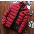 thumbnail image 2 of 2024 Otoño Invierno nueva alta calidad de los hombres casual simplicidad moda rompevientos chaqueta cálida cuello alto abrigo delgado con cremallera, 2 of 5