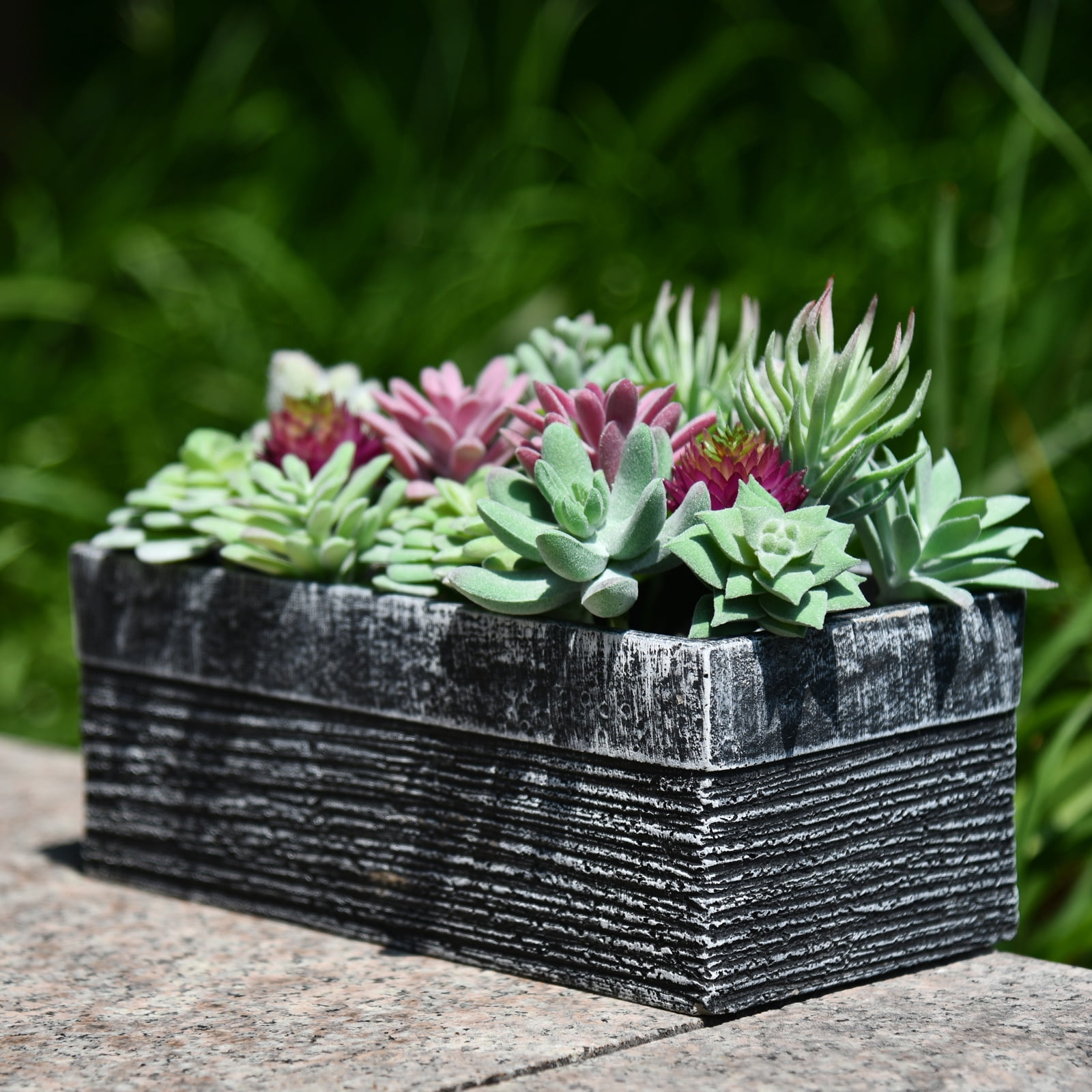 Thatswut - 20 Pack Bulk Large Assorted Realistic Artificial Faux Succulents Aloe Plants Realistic Fake Succulent Plants