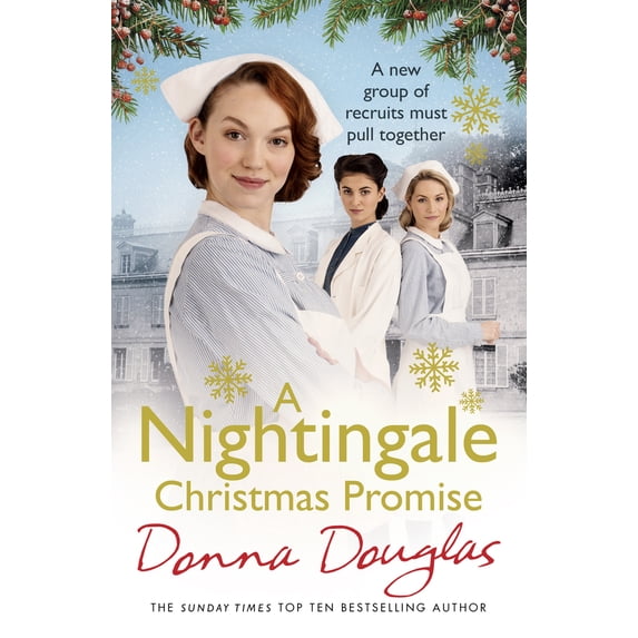 Pre-Owned A Nightingale Christmas Promise: Volume 10 (Paperback) 1784757144 9781784757144