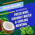 thumbnail image 6 of TheraBreath Whitening Toothpaste & Mouthwash Bundle, 2 Pack Toothpaste + 2 Pack Mouthwash, 6 of 13