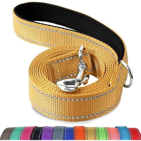 Eryueer Double-Sided Reflective Dog Leash, 6 FT/5FT/4 FT, Padded Handle Nylon Dogs Leashes for Walking, Training Lead for Small & Medium Dogs, Brown, 5FT