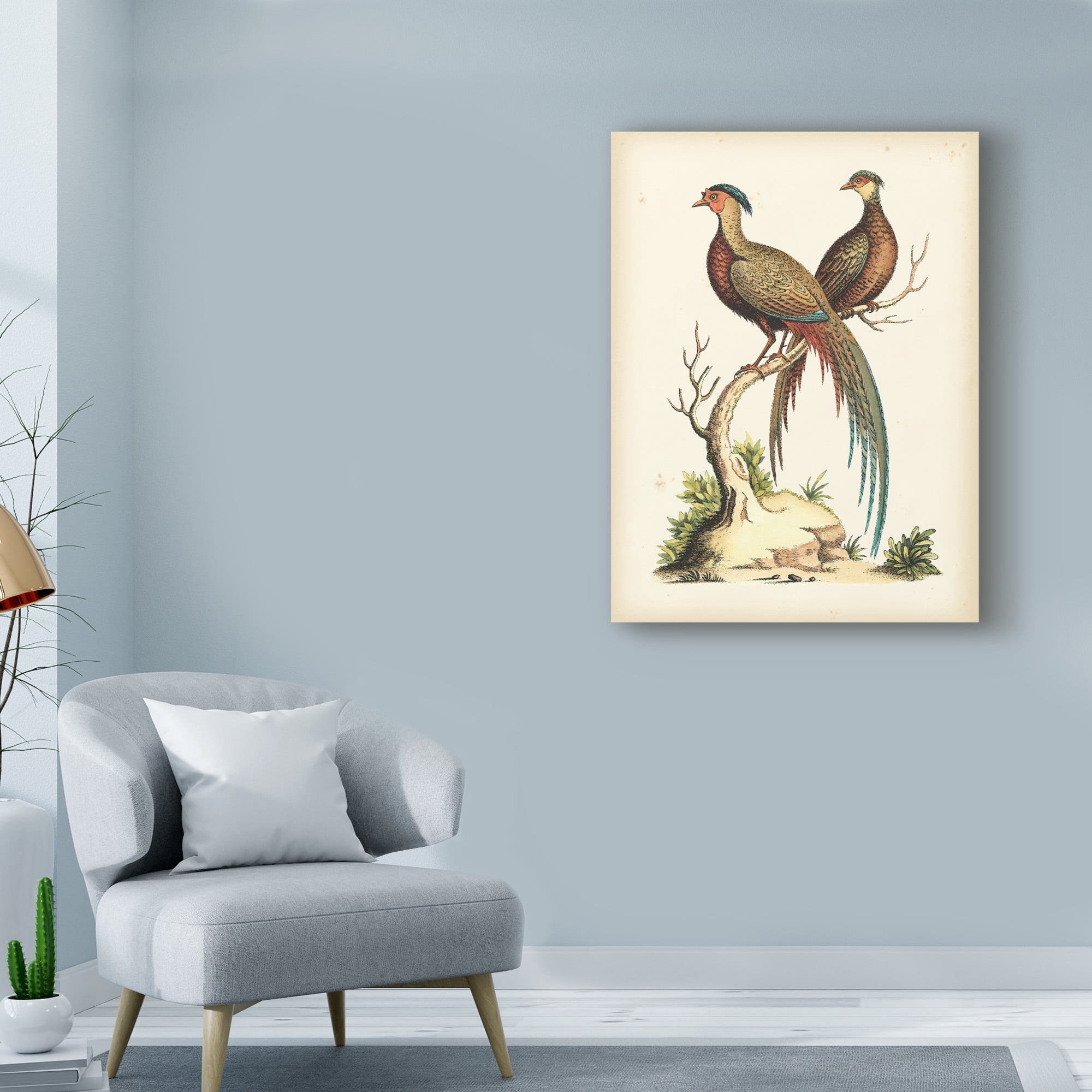 Trademark Fine Art 'Regal Pheasants II' Canvas Art by Sydenham Edwards