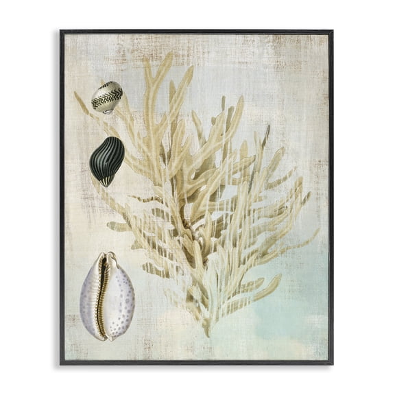 Stupell Industries Coral Branch & Cowrie Shells Animals Painting Black Framed Art Print Wall Art, 11 x 14