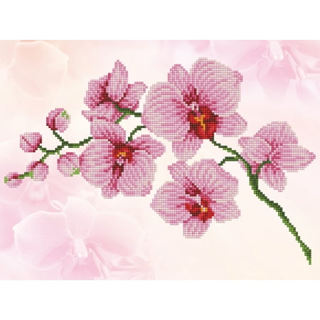 UPC: 4895225921768 | DIAMOND DOTZ® Orchid Spray Diamond Painting Kit