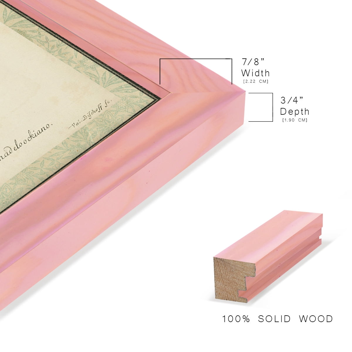 Bookplate Shells VI - Framed Print w/glass - Sunset Pink
