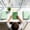 Green, variant on B5 Ring Bound Notebook Detachable Refillable Journal Writing Book Thick Paper Durable Cover Study Planner Notes Organizer Office Home Stationery Supplies Multi Color