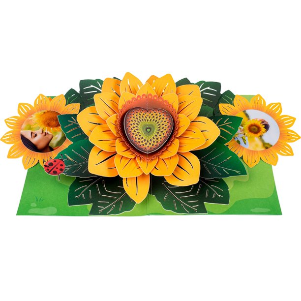 Sunflower Pop Up Card Walmart Com Walmart Com
