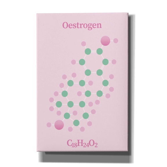 Epic Graffiti 'Oestrogen Molecule 2' by Epic Portfolio, Giclee Canvas Wall Art, 12"x18"