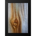 thumbnail image 2 of Mahan, Kathy 13x18 Black Modern Framed Museum Art Print Titled - Wood Details III, 2 of 5