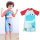 thumbnail image 5 of de desechables para de servicio Cápsula de cápsula - rojo XXL Dinosaurio rojo XXL Hugo Traje de baño para niños, 5 of 9