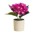 thumbnail image 1 of Clearance Sale! Simulation Hydrangea Plant Small Bonsai (with Plastic Pot) Exquisite Home Decoration Real Simulation Effect Suitable For And Bedroom Desktop Decoration, 1 of 7