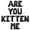 Black, variant on Letter Balloons - ARE YOU KITTEN ME 16" Inch Alphabet Letters Foil Mylar Balloon Birthday Party Banner (Gold)