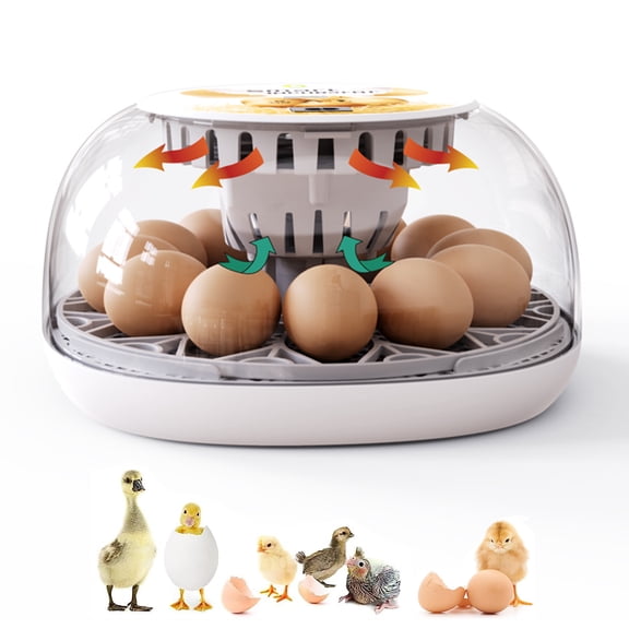 JOVELL 12 Egg Incubator for Hatching Eggs, Automatic Egg Turner with Temperature & Humidity Control, Clear 360° View Poultry Hatcher for Chicken Duck Quail