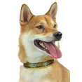 thumbnail image 1 of Zubaz NFL Collier Ajustable pour Animaux de Compagnie, Green Bay Packers, Large, 1 of 3