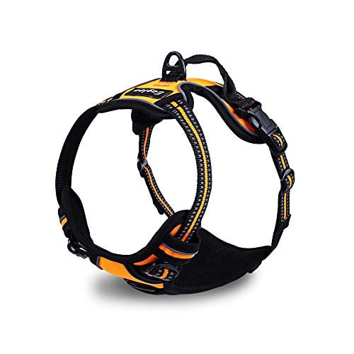 eagloo dog harness